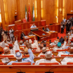 10th NASS: 24 Senators Have No Bill In One Year