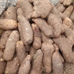 Hardship: Kaduna Residents Abandon Yam As 100 Tubers Sell For ₦1M