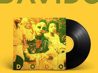 DAVIDO - DODO