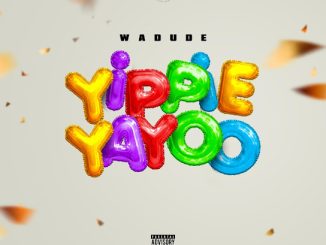 Wadude - Yippie Yayoo